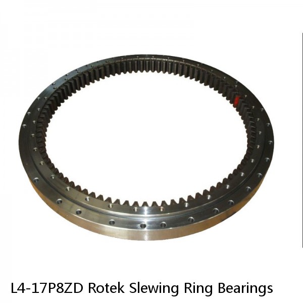 L4-17P8ZD Rotek Slewing Ring Bearings